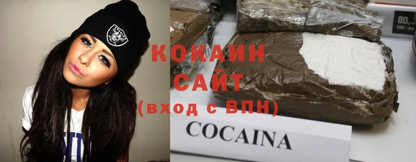 гашик Балахна