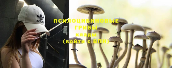 хмурый Ветлуга